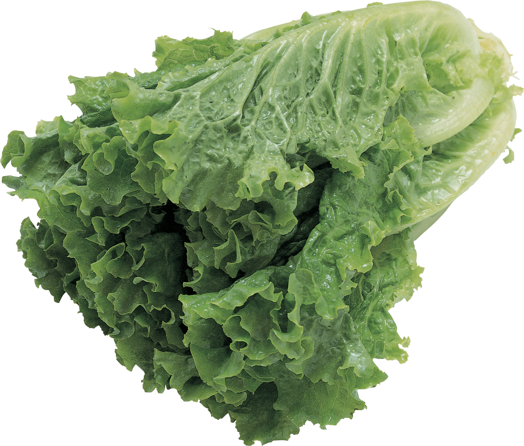 Salad Transparent PNG Image
