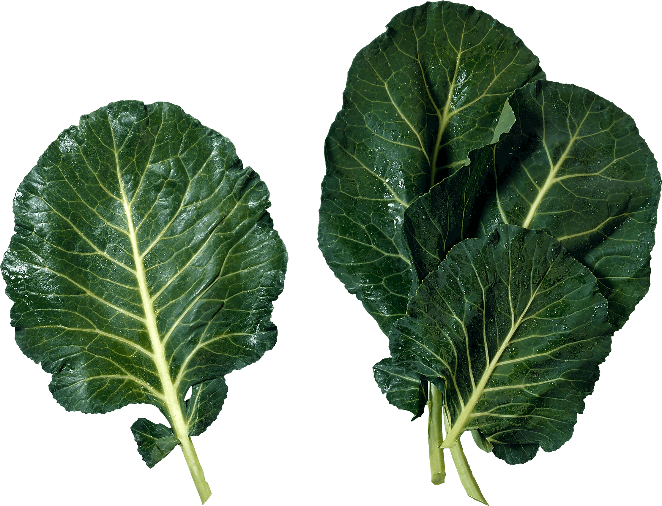Green Salad Transparent PNG Image
