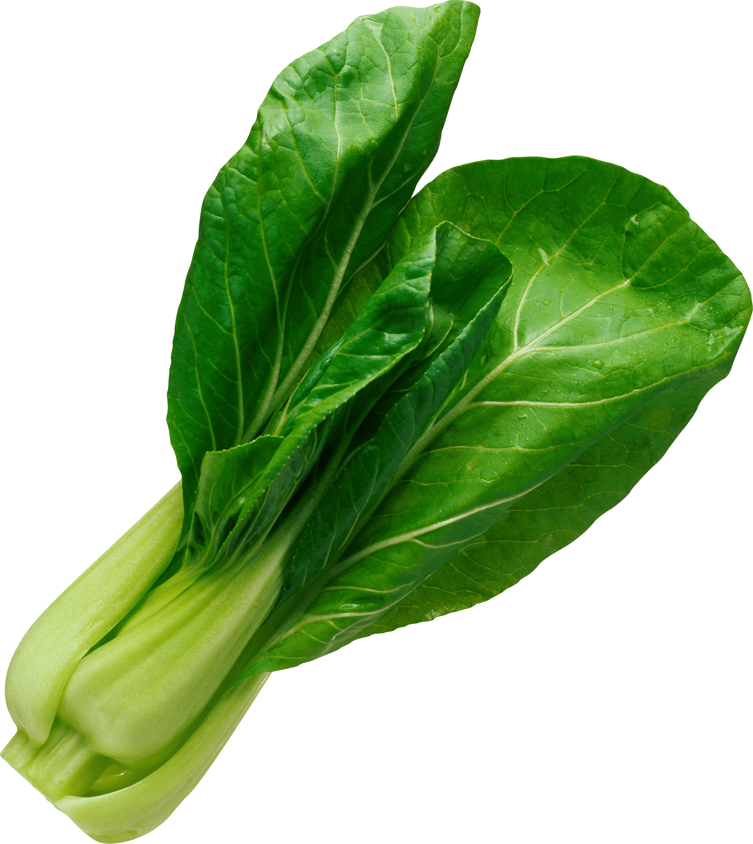 Salad Leaf Transparent PNG Image