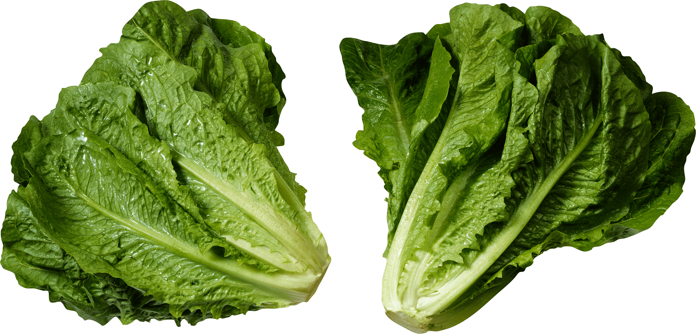 Green Salad Transparent PNG Image