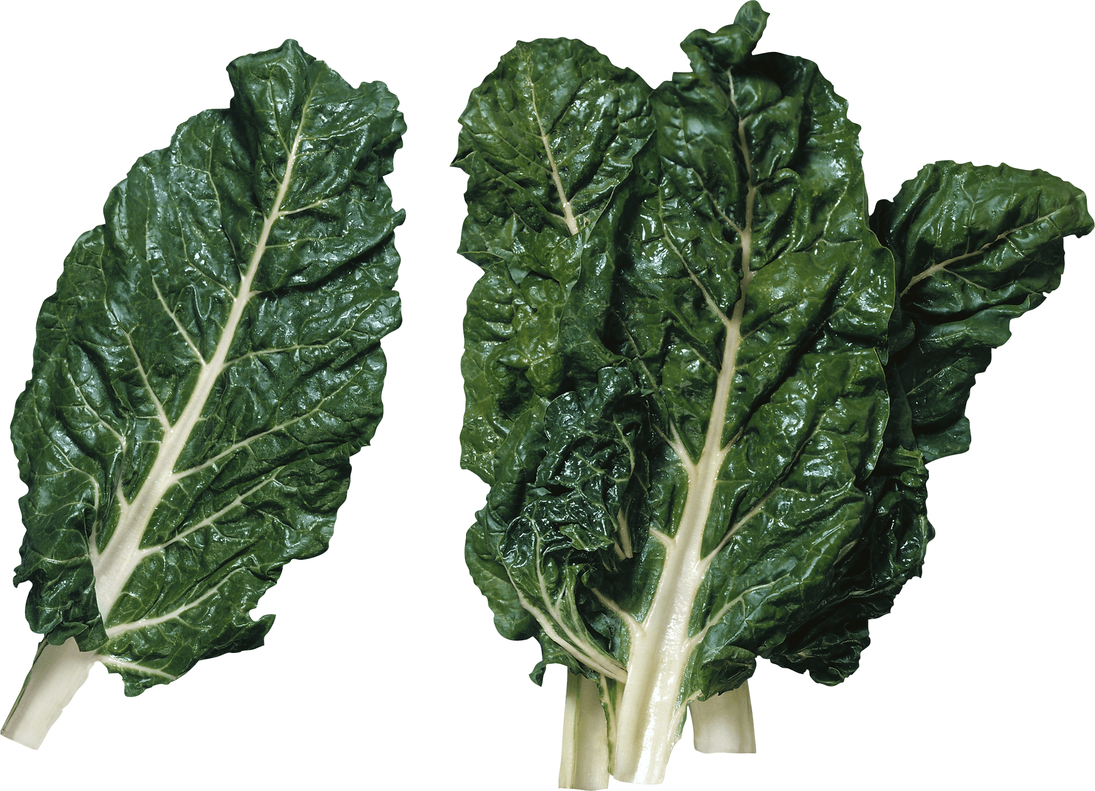 Salad Transparent PNG Image