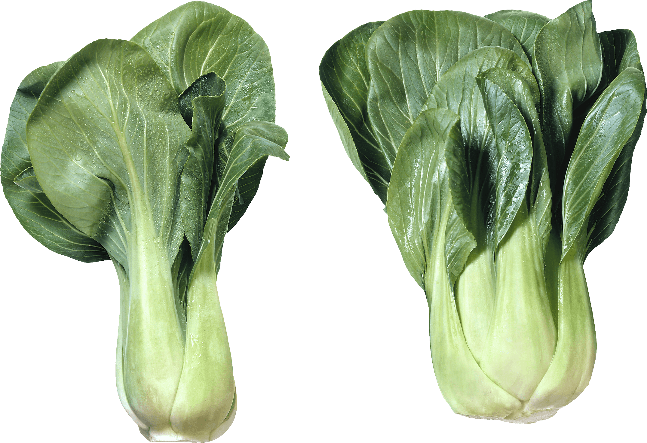 Salad Transparent PNG Image