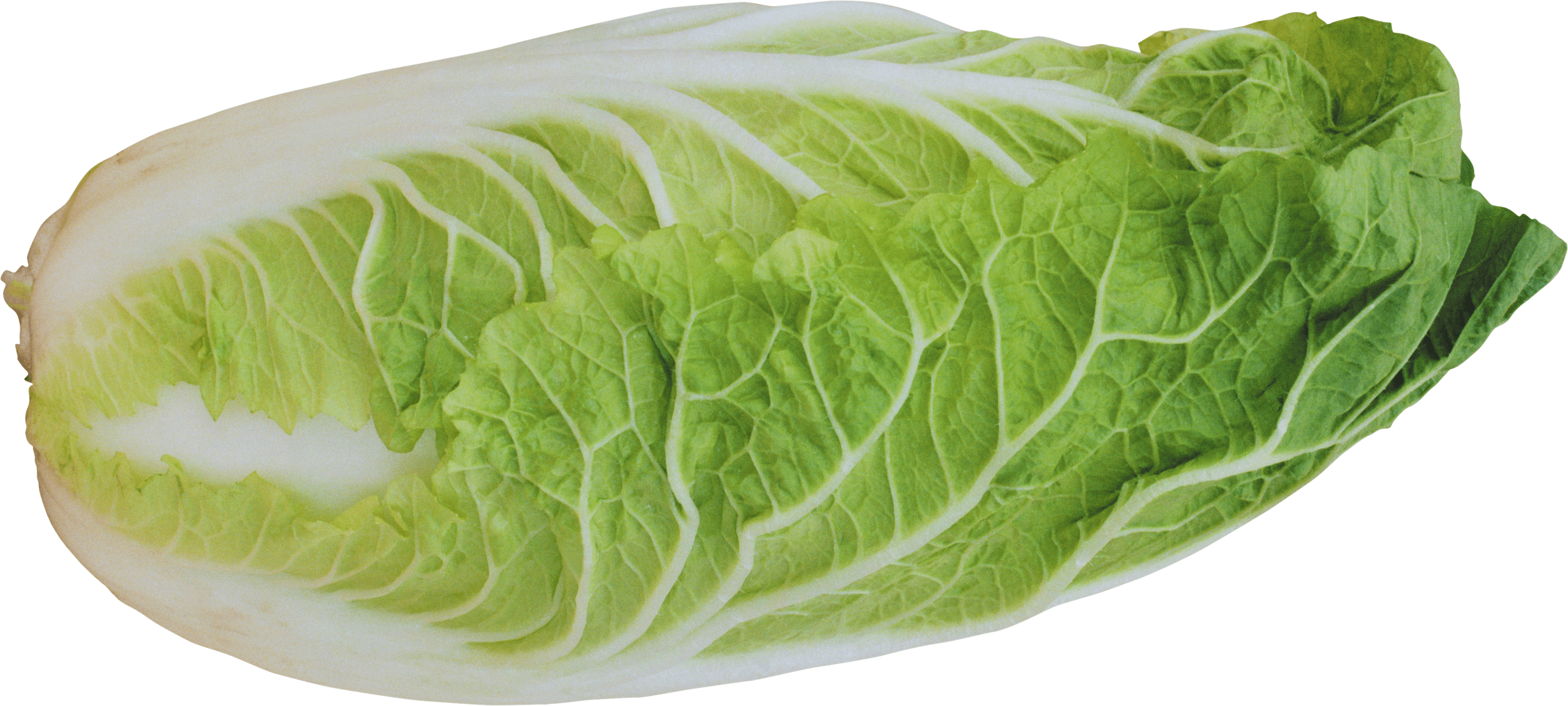 Salad Transparent PNG Image