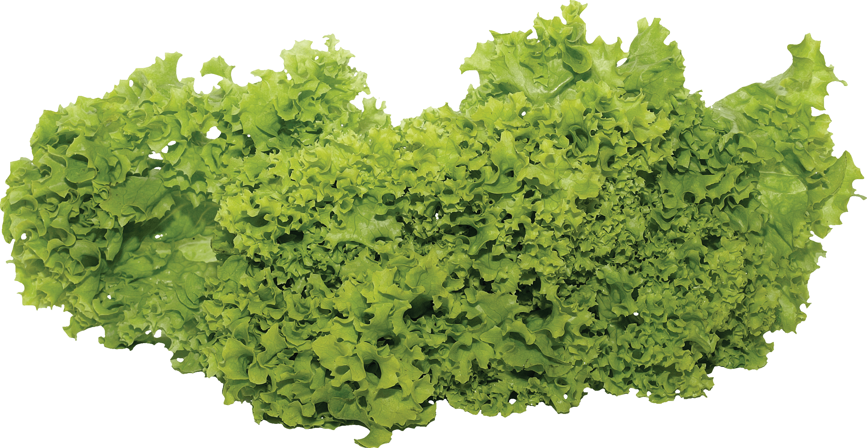 Green Salad Transparent PNG Image