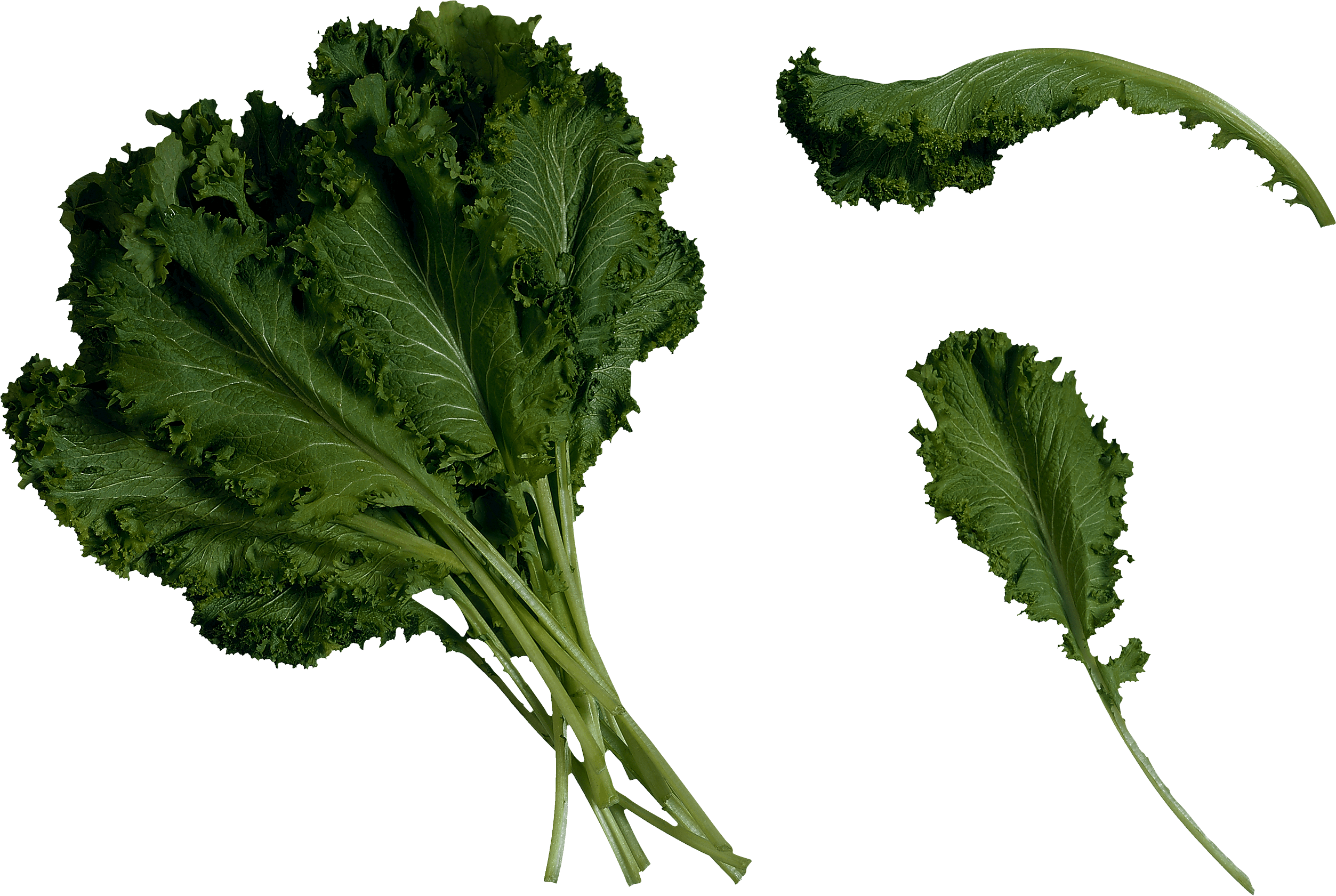 Salad Transparent PNG Image