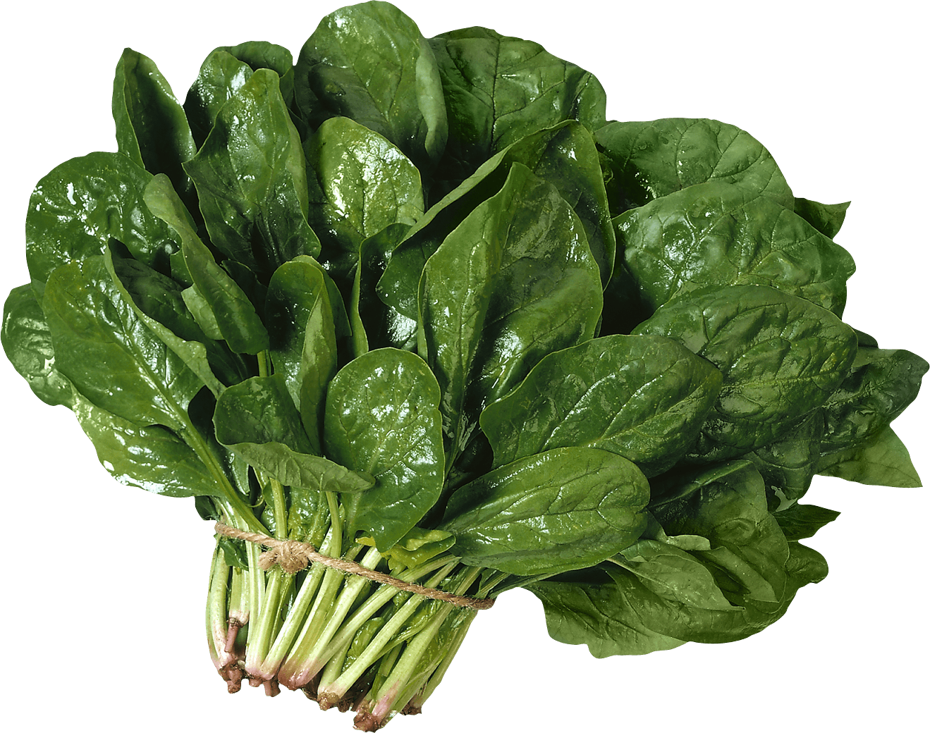 Salad Transparent PNG Image