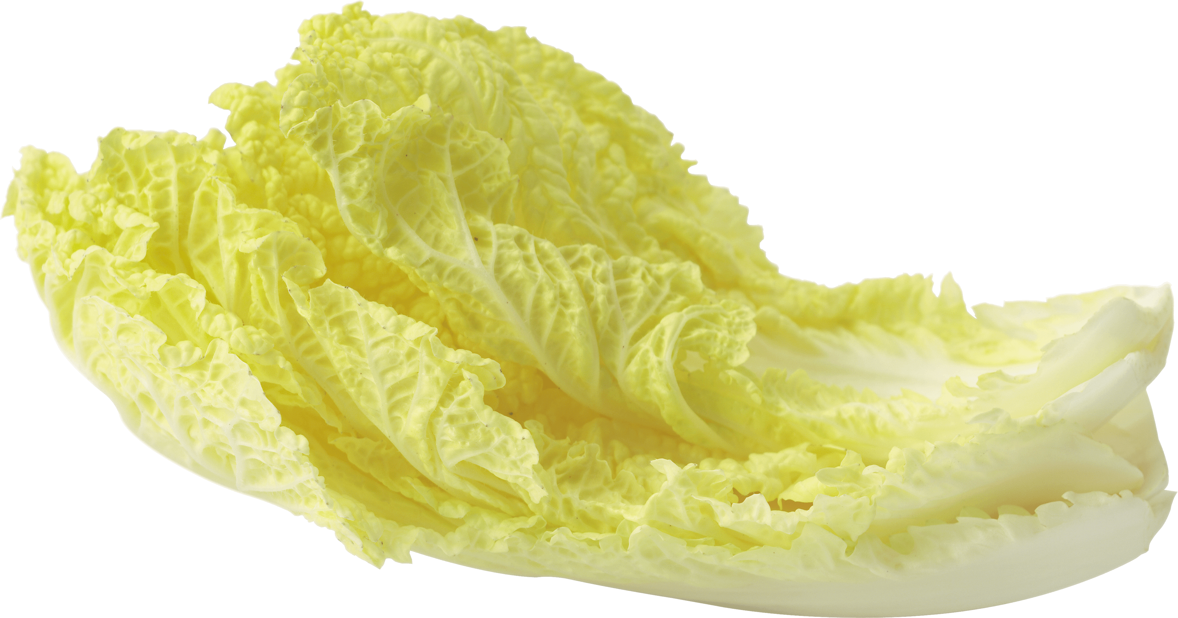 Salad Leaf Transparent PNG Image