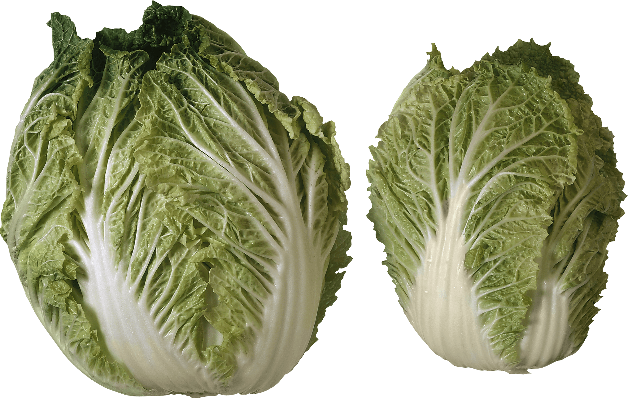 Salad Transparent PNG Image