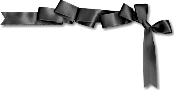 Satin Transparent PNG Image