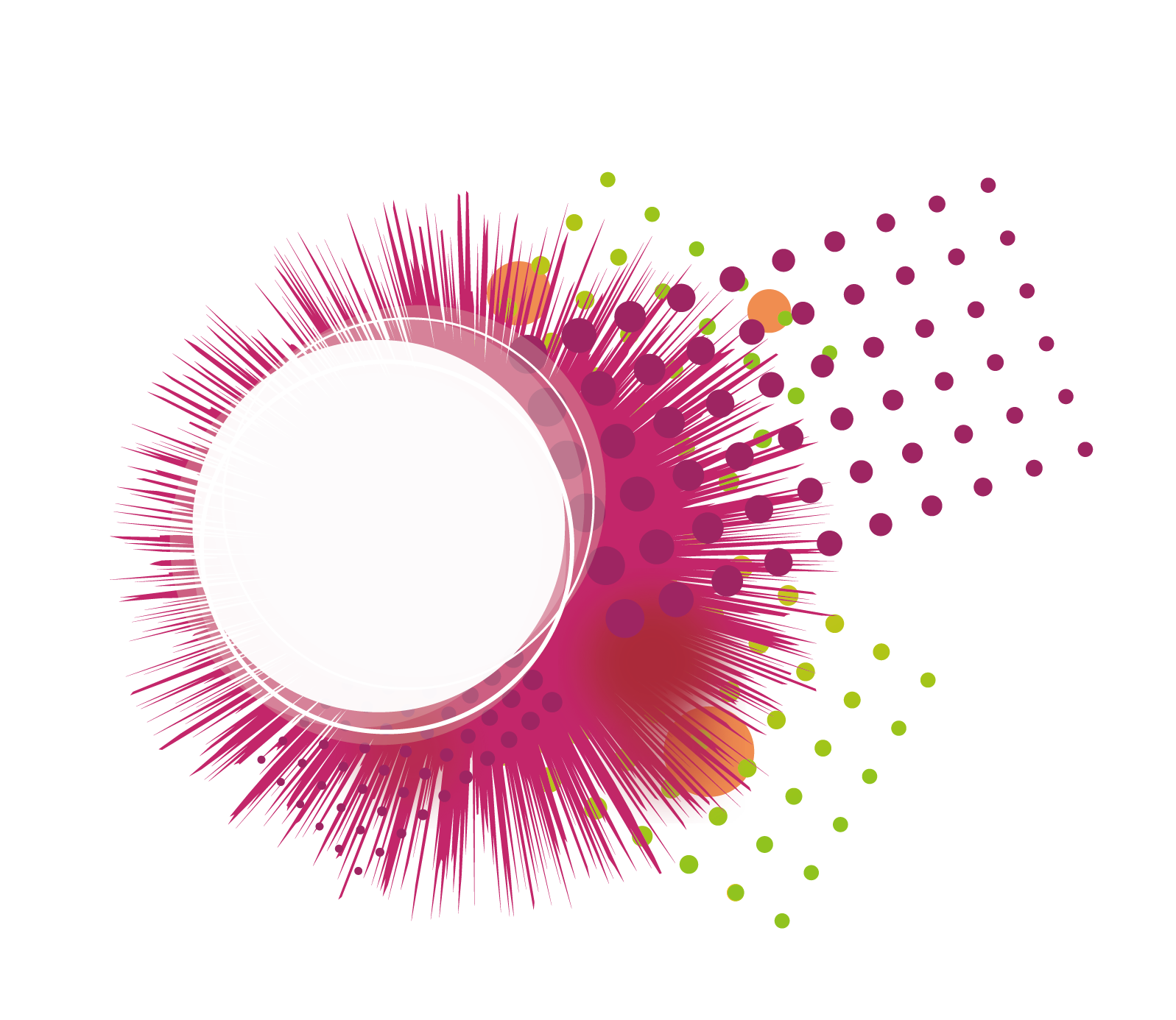 Vector Border Transparent PNG Image