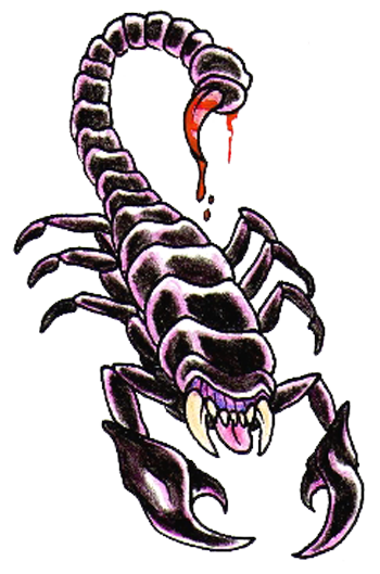 Scorpion Tattoos Transparent PNG Image