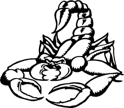 Scorpion Tattoos Transparent PNG Image