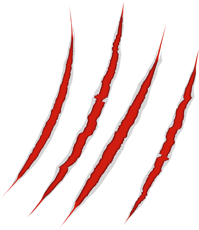 Scratches Claw Transparent PNG Image