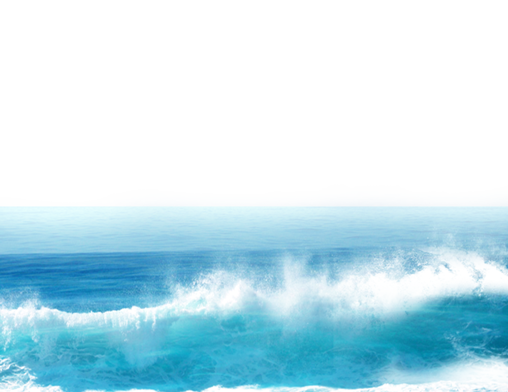 Google Computer File Sea Transparent PNG Image
