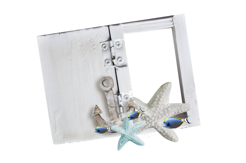 Flower Frame Ocean Sea Wind Transparent PNG Image