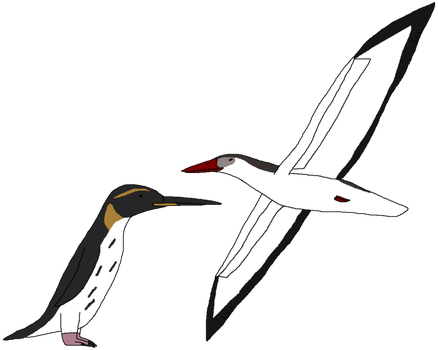Ocean Birds Transparent PNG Image