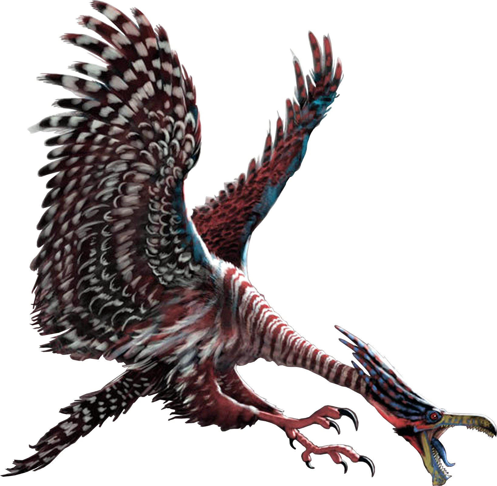 Ocean Birds Transparent PNG Image
