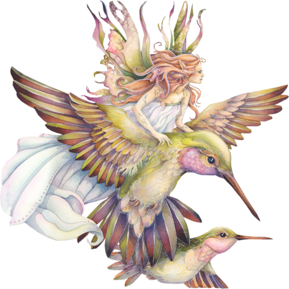 Fairy Bird Transparent PNG Image