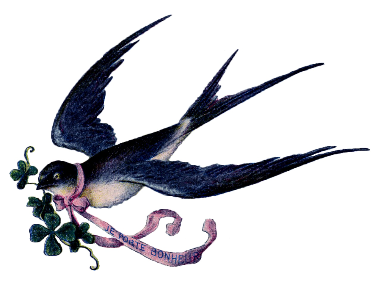 Fairy Bird Transparent PNG Image