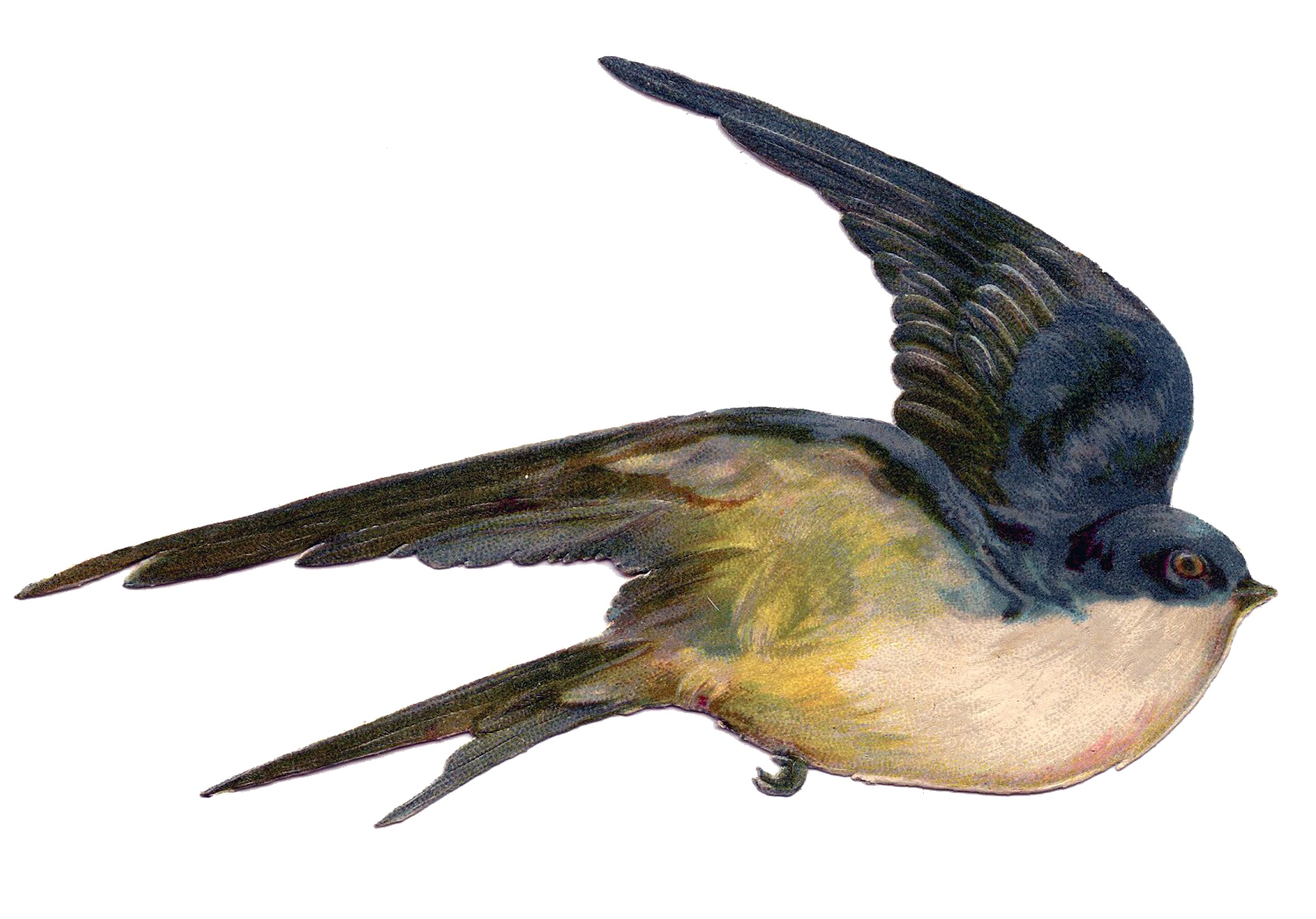 Fairy Bird Transparent PNG Image