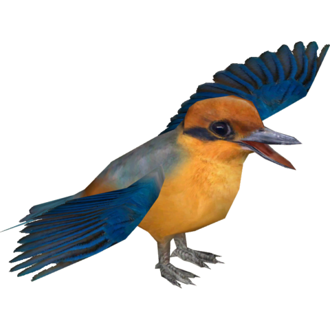 Kingfisher Transparent PNG Image