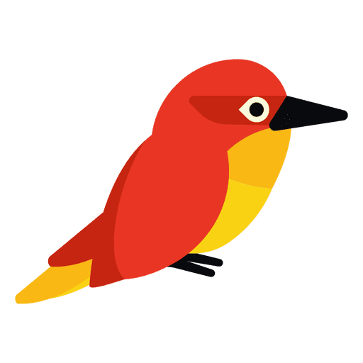 Kingfisher Transparent PNG Image