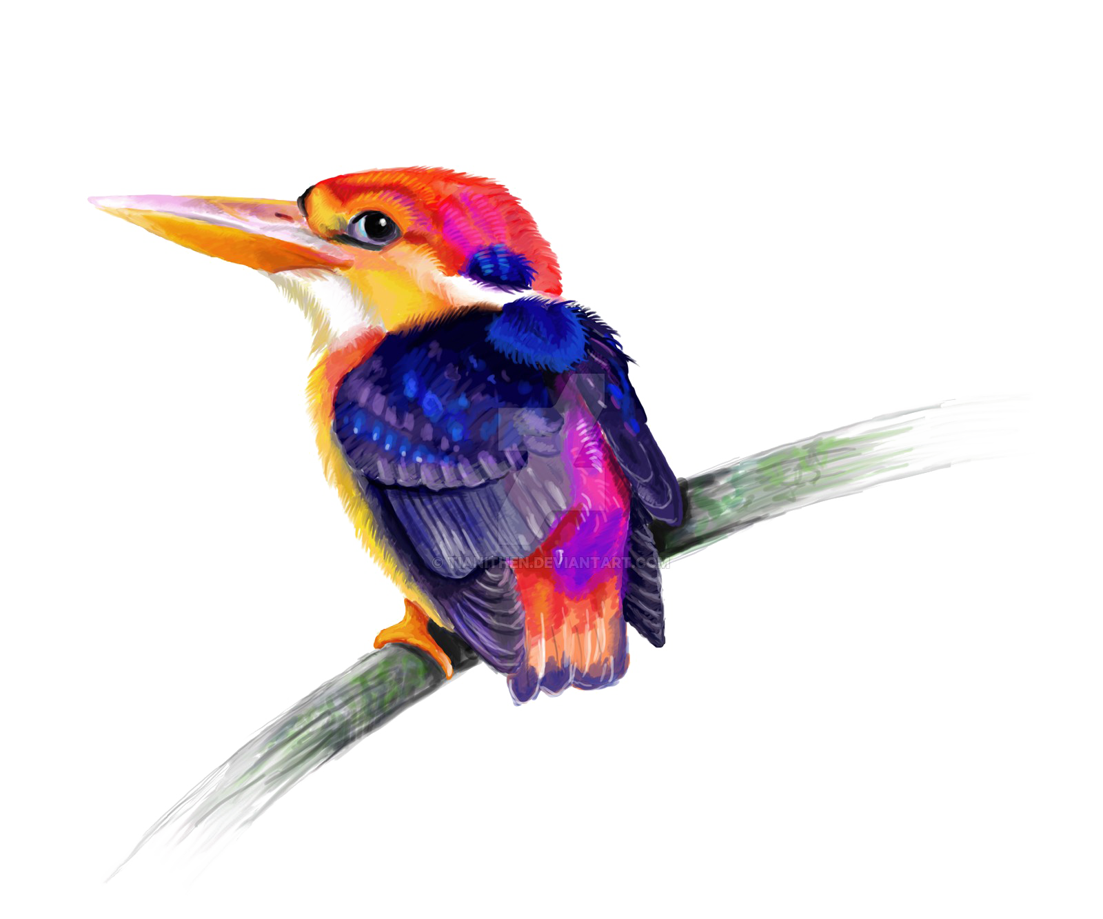 Kingfisher Transparent PNG Image
