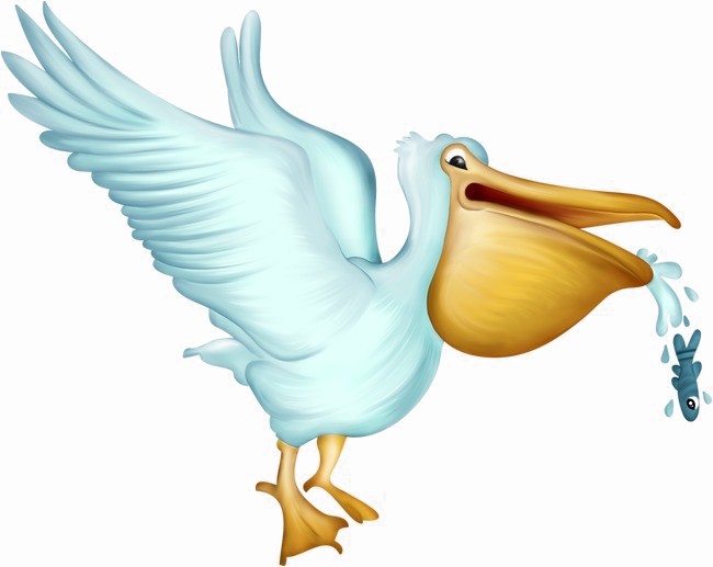 Pelican Transparent PNG Image