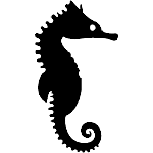 Seahorse Transparent PNG Image