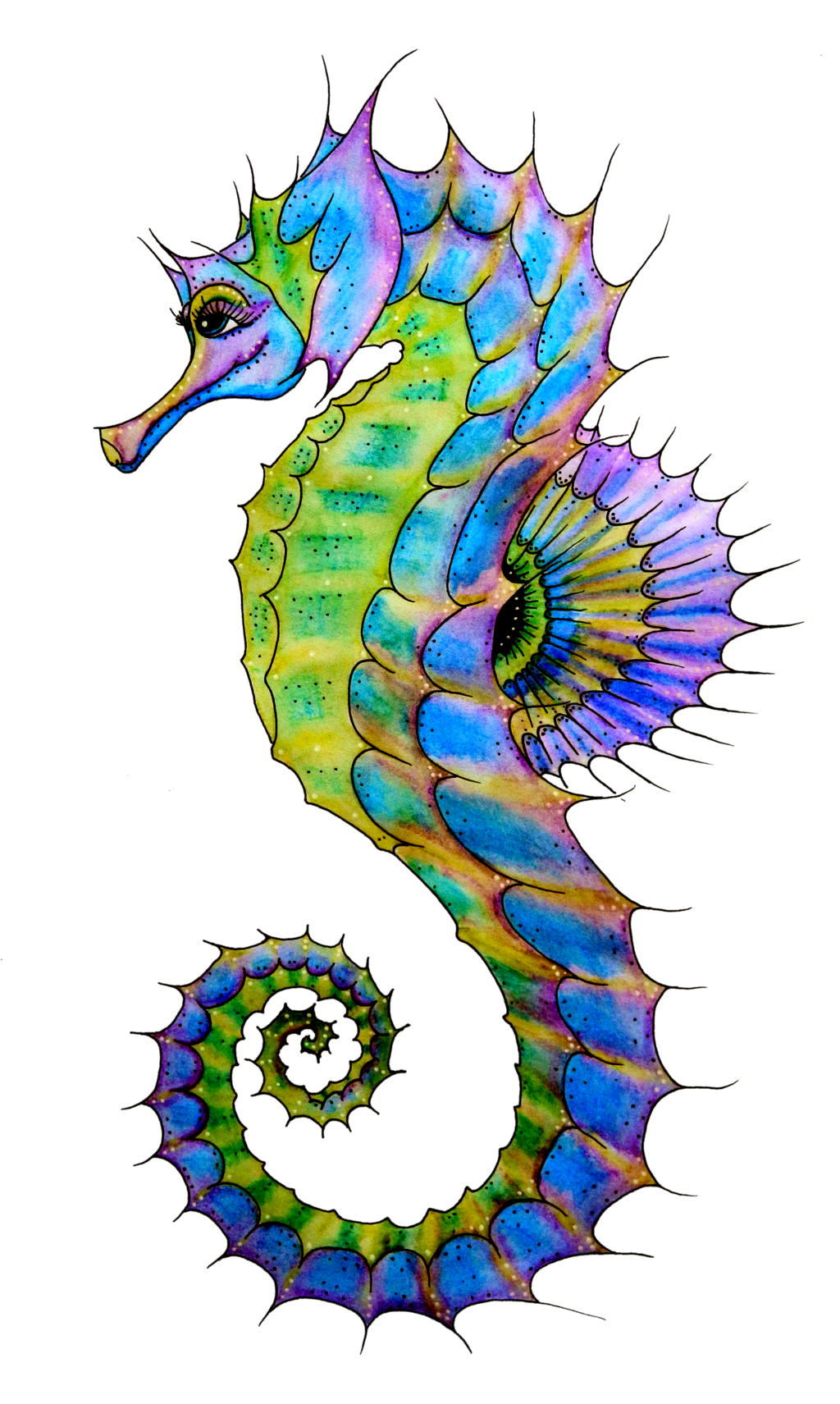 Seahorse Transparent PNG Image