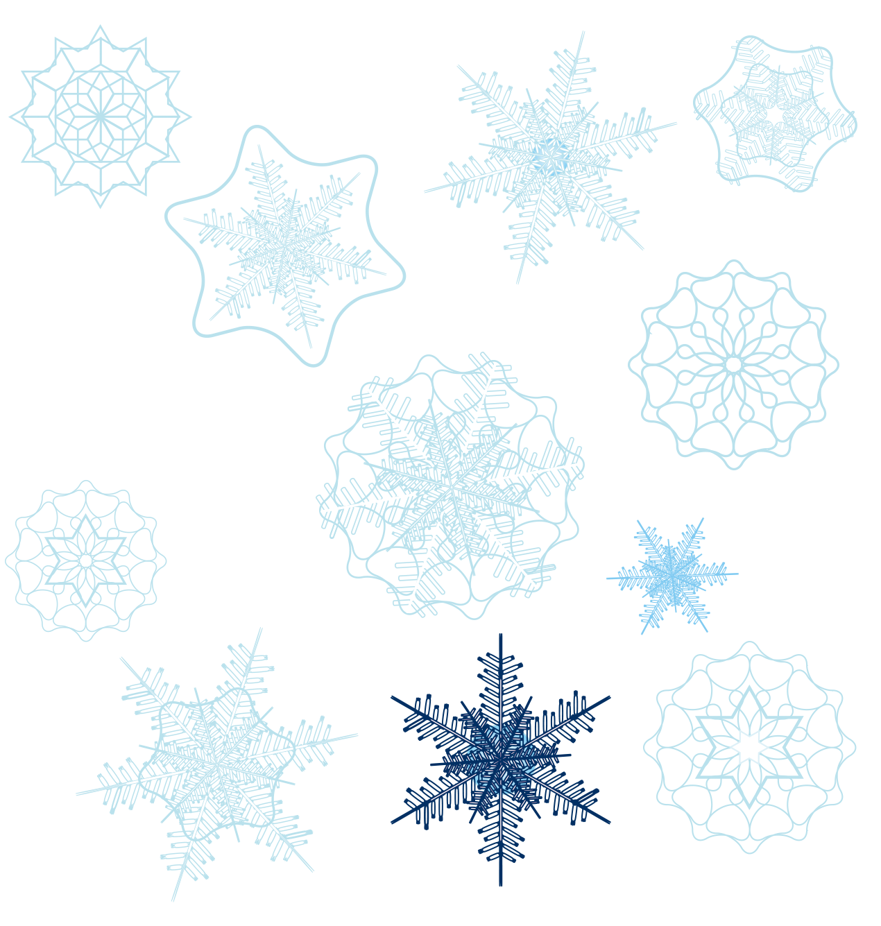 Of Shape Snowflakes Snowflake Variety Transparent PNG Image