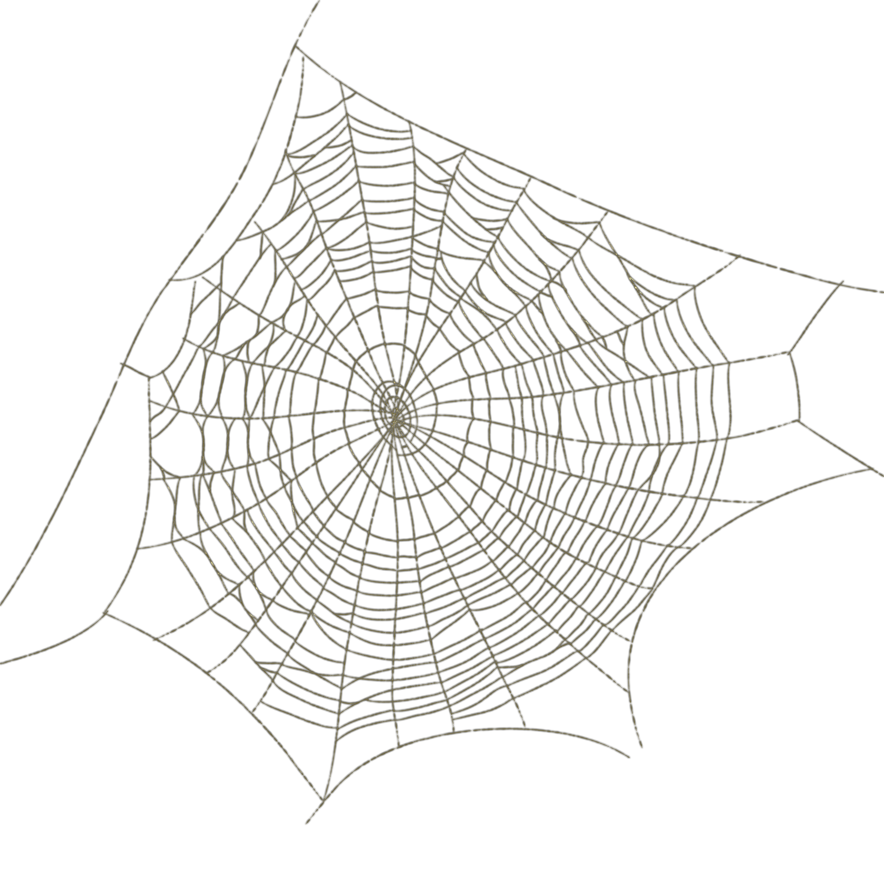 Web Angle Spider Drawing Frame Transparent PNG Image