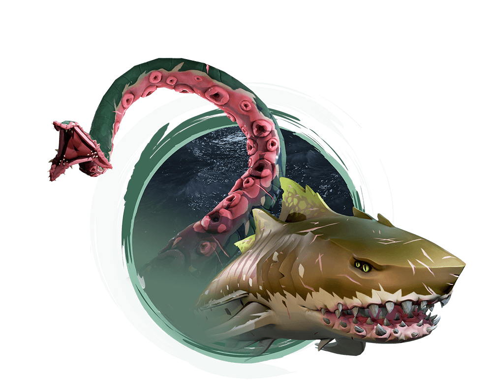 Megalodon Shark Aquatic Transparent PNG Image