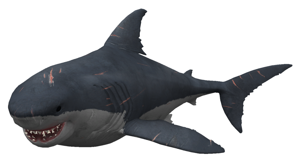 Megalodon Shark Aquatic Transparent PNG Image
