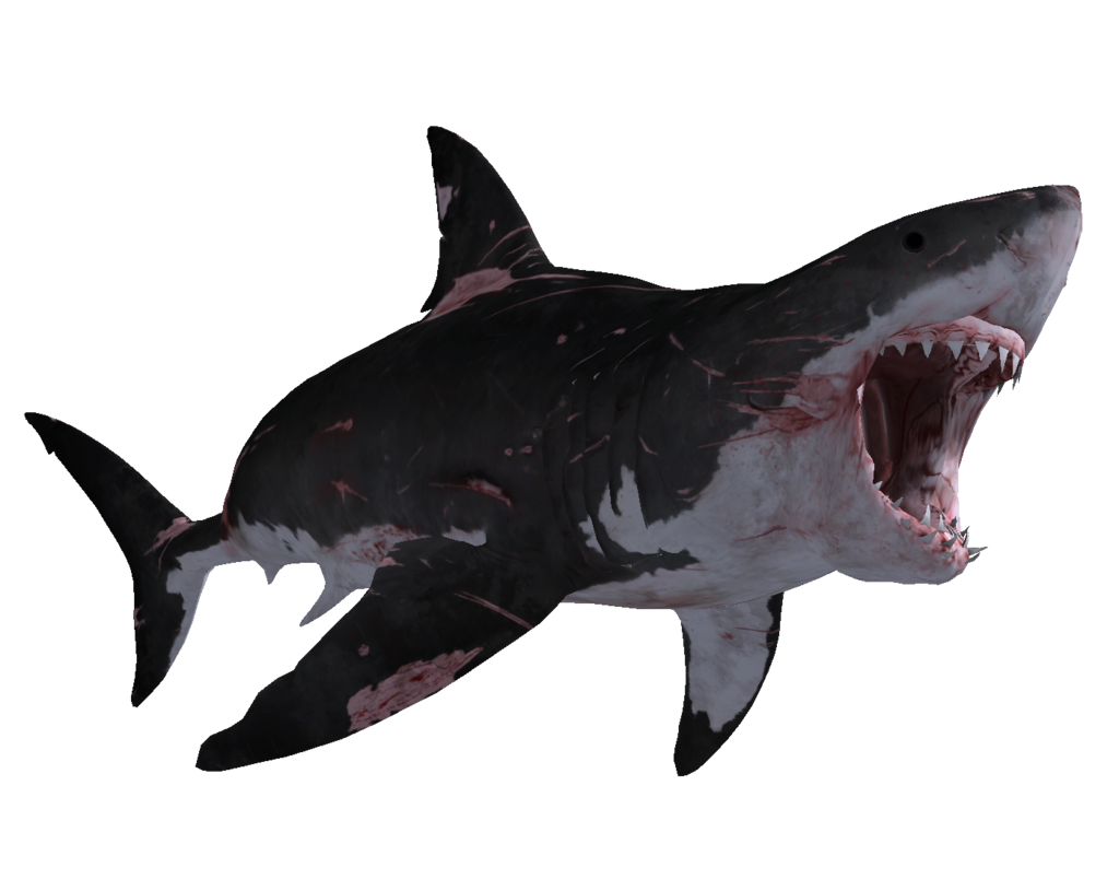 Big Shark Megalodon Transparent PNG Image
