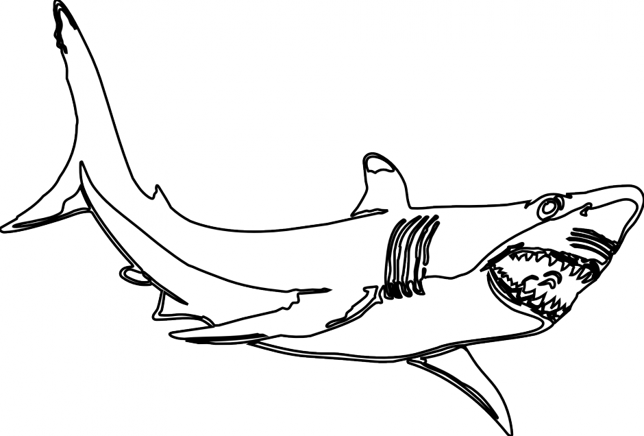 Big Shark Megalodon Transparent PNG Image