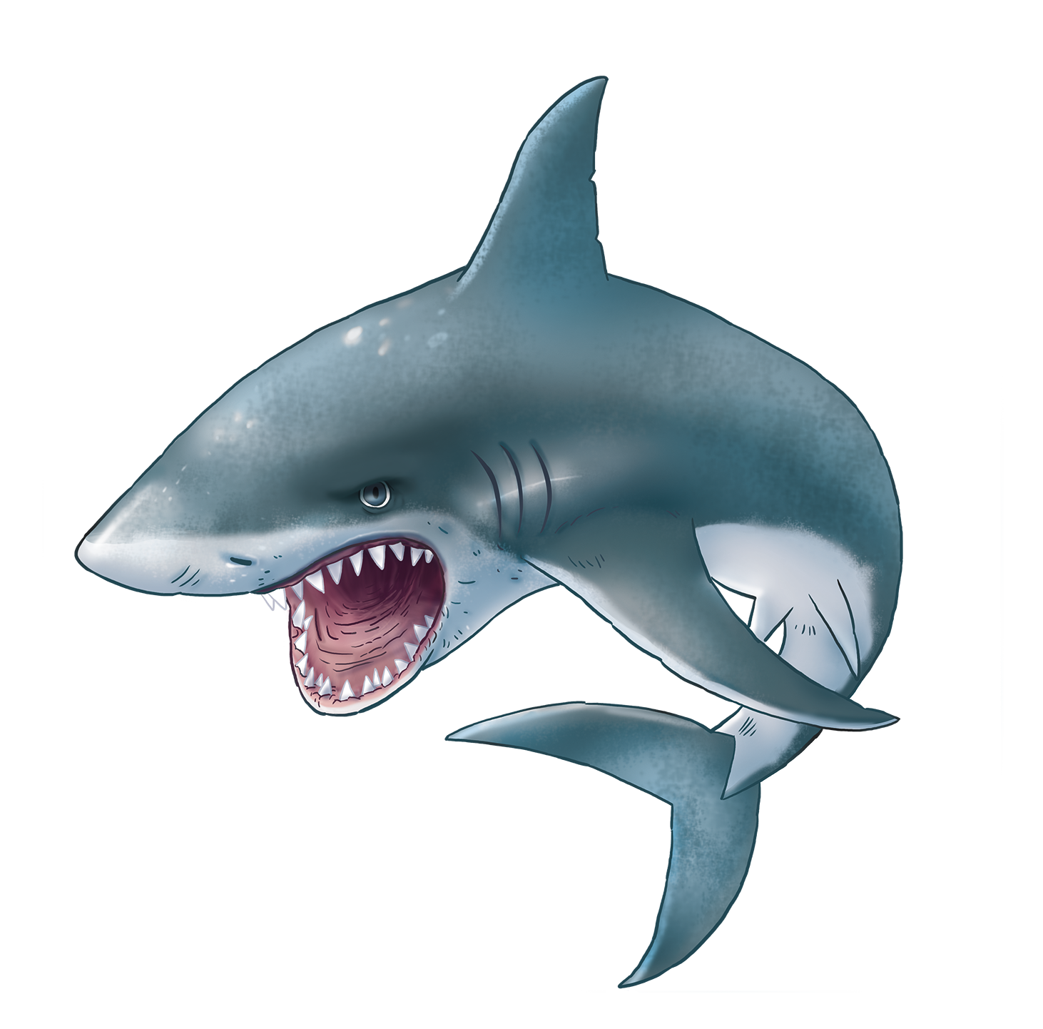 Blue Megalodon Shark Transparent PNG Image