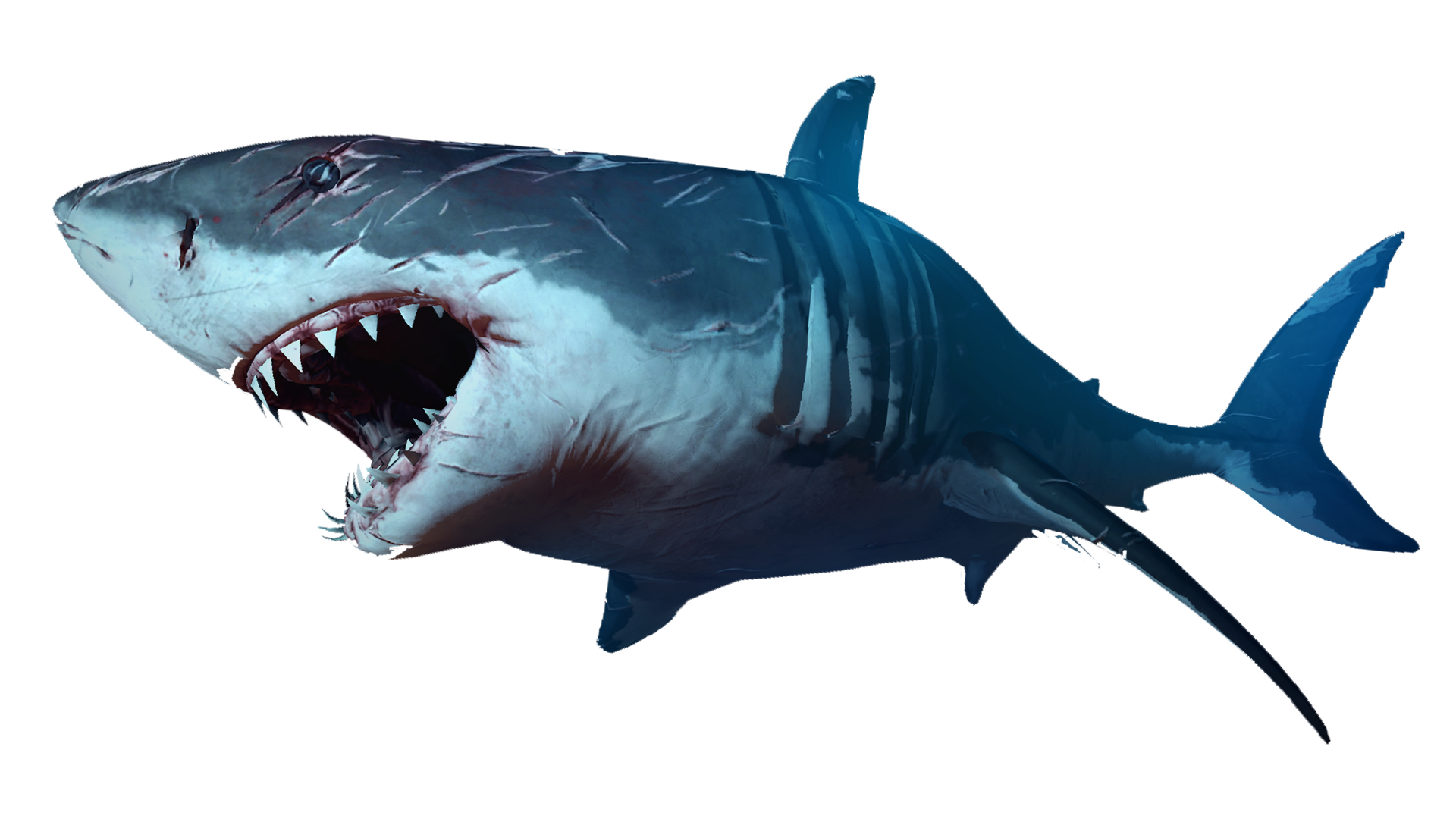 Blue Megalodon Shark Transparent PNG Image