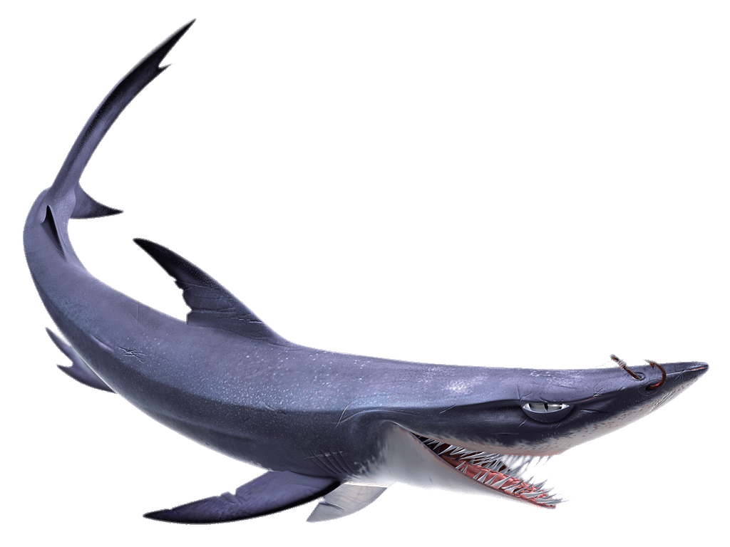 Blue Shark Nemo Transparent PNG Image