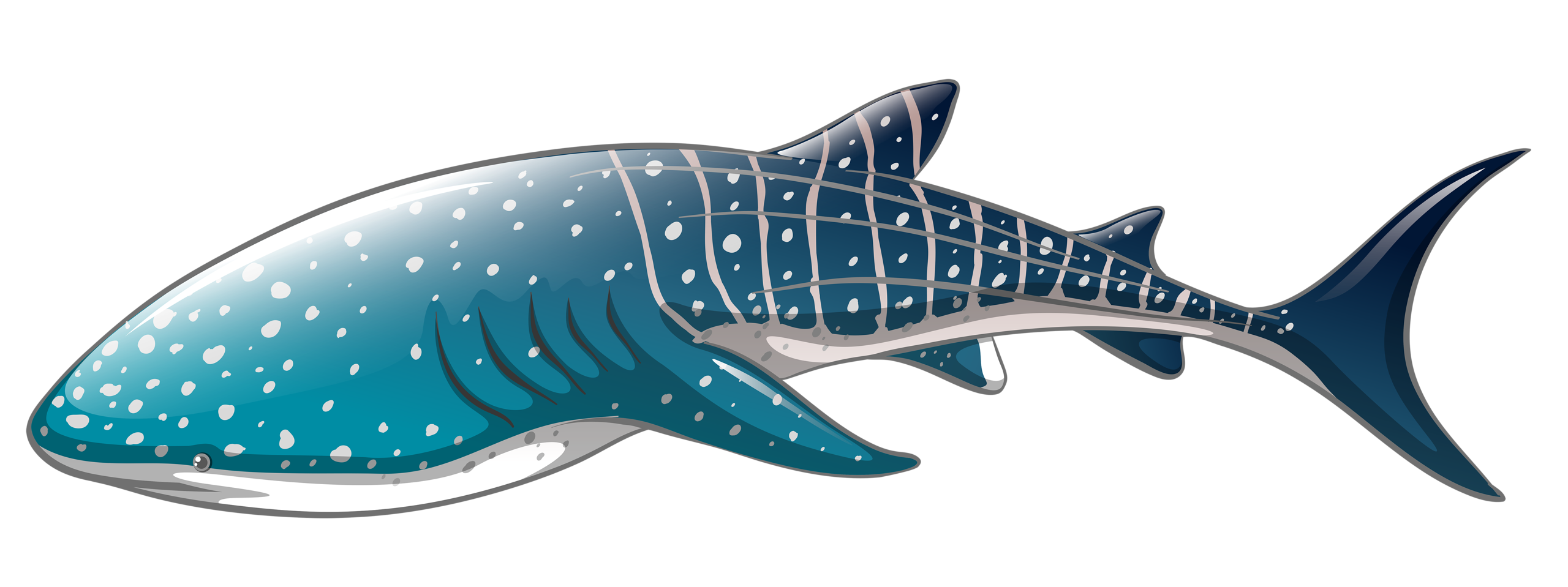 Blue Shark Nemo Transparent PNG Image