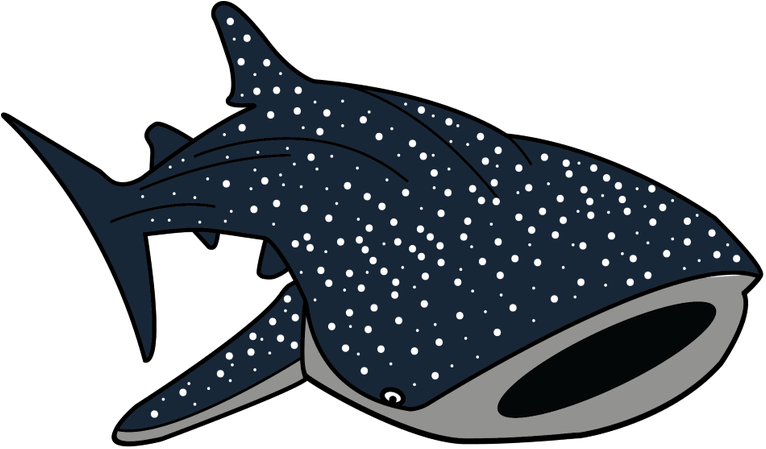 Shark Nemo Transparent PNG Image