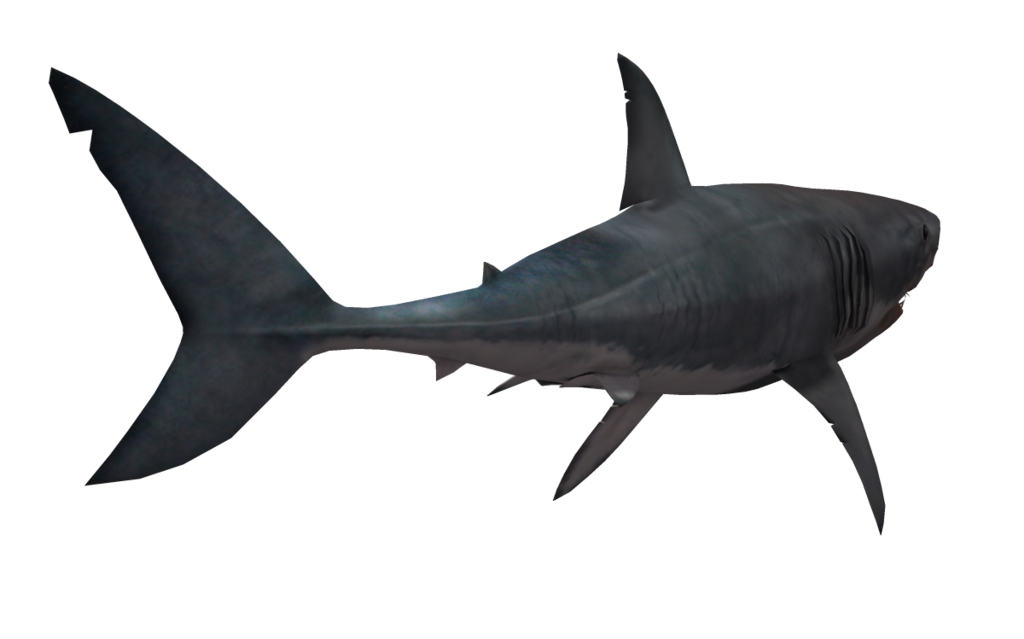 Shark Nemo Transparent PNG Image