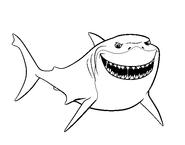 Pic Shark Vector Nemo Transparent PNG Image
