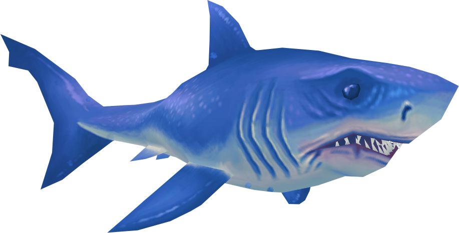Blue Real Shark Transparent PNG Image