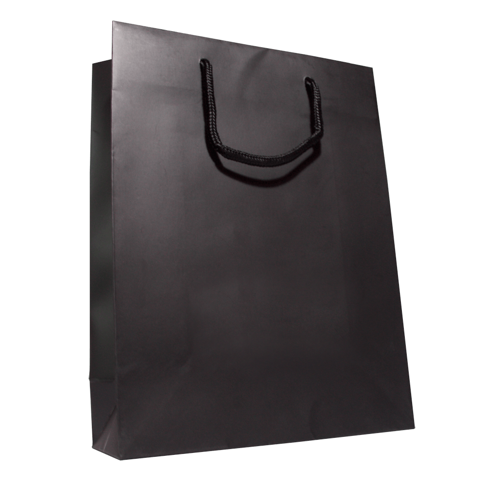 Shopping Bag Transparent PNG Image