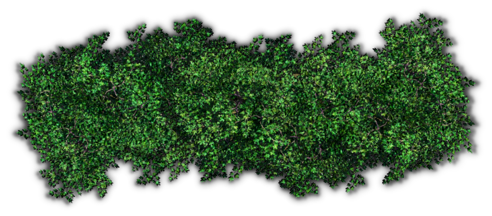 Bushes Transparent PNG Image