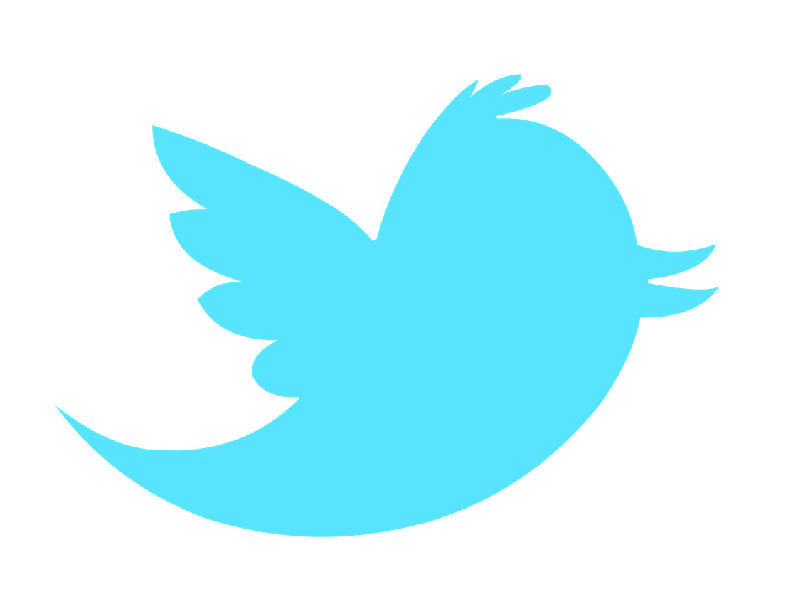 Logo Twitter Computer Bird Icons Transparent PNG Image