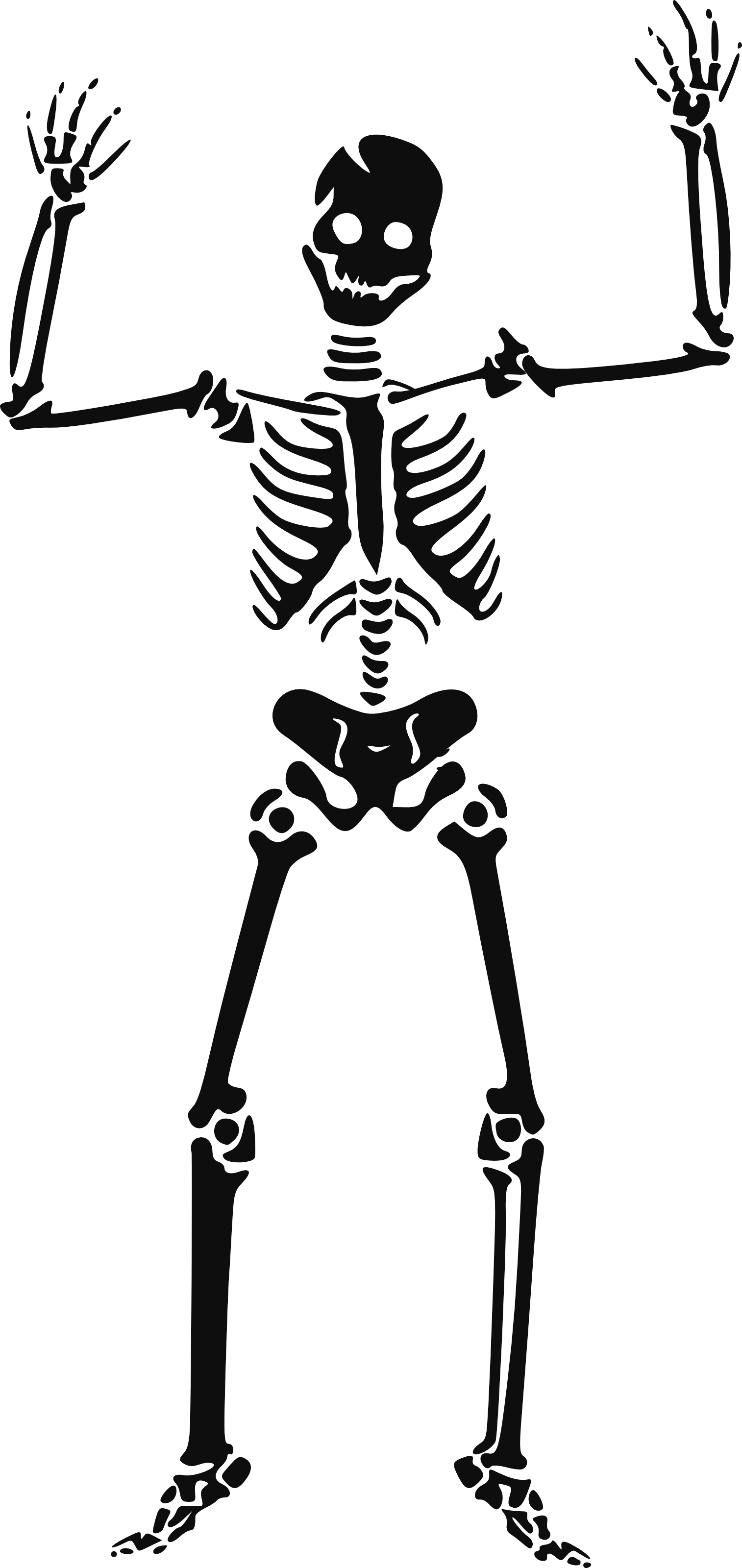 Skeleton Siluet Transparent PNG Image