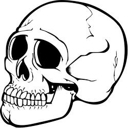 Skull Transparent PNG Image