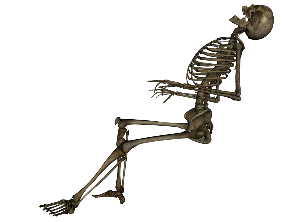 Skeleton Transparent PNG Image